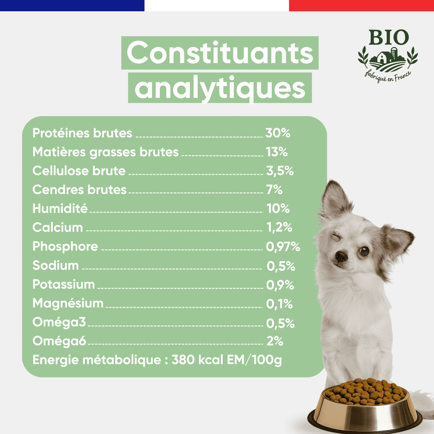 Chiot blanc chihuahua assis devant sa gamelle avec les constituants analytiques des croquettes sans céréales chien petite race Canichef Bio : 30% protéines brutes, 13% matières grasses, 380 kcal/100g