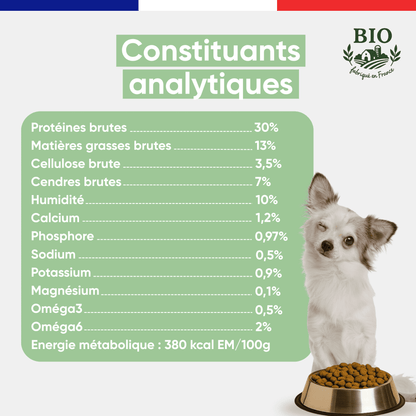 Chiot blanc chihuahua assis devant sa gamelle avec les constituants analytiques des croquettes sans céréales chien petite race Canichef Bio : 30% protéines brutes, 13% matières grasses, 380 kcal/100g