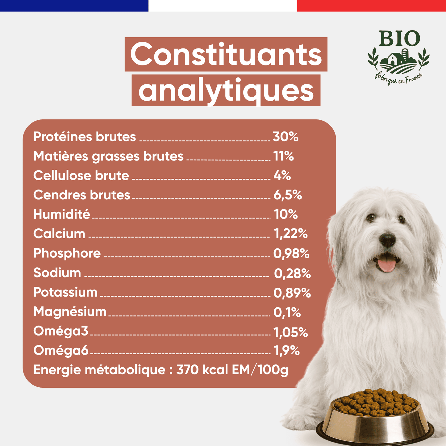 Chien blanc aux longs poils assis devant sa gamelle avec les constituants analytiques des croquettes sans céréales chien senior Canichef Bio : 30% protéines brutes, 11% matières grasses, 370 kcal/100g