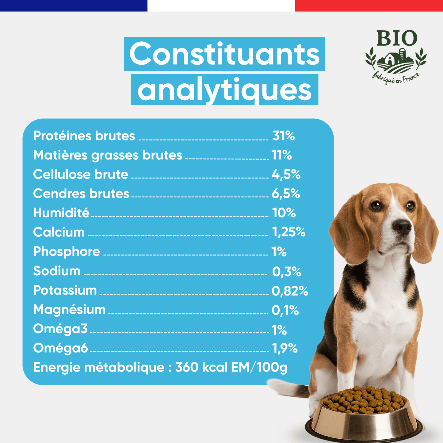 Beagle assis devant sa gamelle avec les constituants analytiques des croquettes sans céréales chien stérilisé Canichef Bio : 31% protéines brutes, 11% matières grasses, 360 kcal/100g