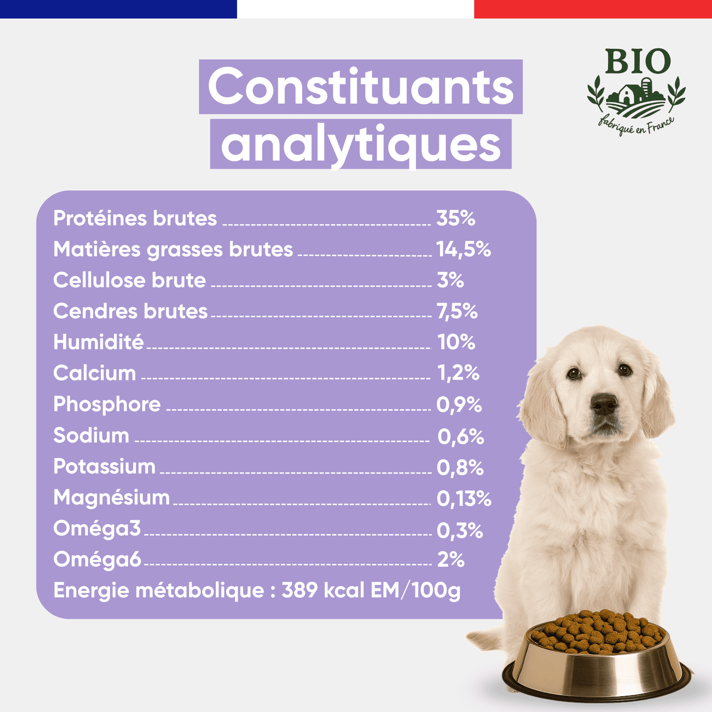 Chiot golden retriever assis devant sa gamelle avec les constituants analytiques des croquettes sans céréales chiot Canichef Bio : 35% protéines brutes, 14,5% matières grasses, 389 kcal/100g