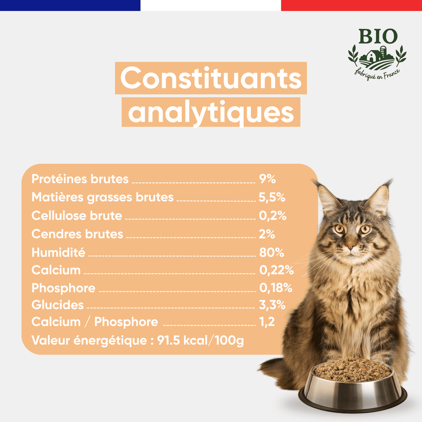 Maine Coon assis devant sa gamelle avec les constituants analytiques de la mousse pour chat à la volaille Félichef Bio : 9% protéines brutes, 5,5% matières grasses, 80% d'humidité, 91,5 kcal/100g