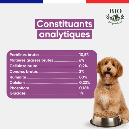 Chiot golden doodle assis devant sa gamelle avec les constituants analytiques de la mousse chien volaille boeuf Canichef Bio : 10,5% protéines brutes, 6% matières grasses, 80% d'humidité