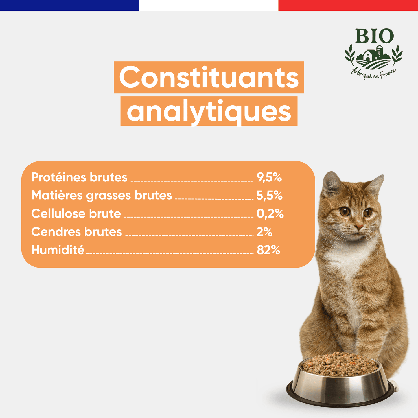 Chat roux assis devant sa gamelle avec les constituants analytiques de la pâtée pour chat à la truite Félichef Bio : 9,5% protéines brutes, 5,5% matières grasses, 82% d'humidité