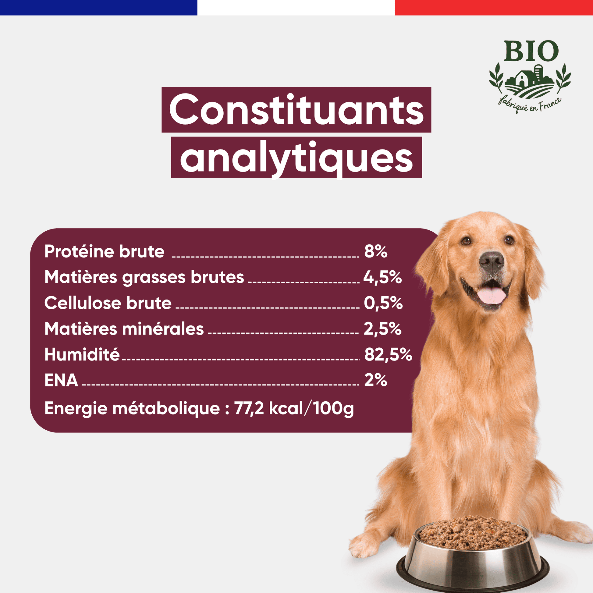Golden retriever assis devant sa gamelle avec les constituants analytiques de la pâtée chien volaille Canichef Bio : 8% protéines brutes, 4,5% matières grasses, 82,5% d'humidité, 77,2 kcal/100g