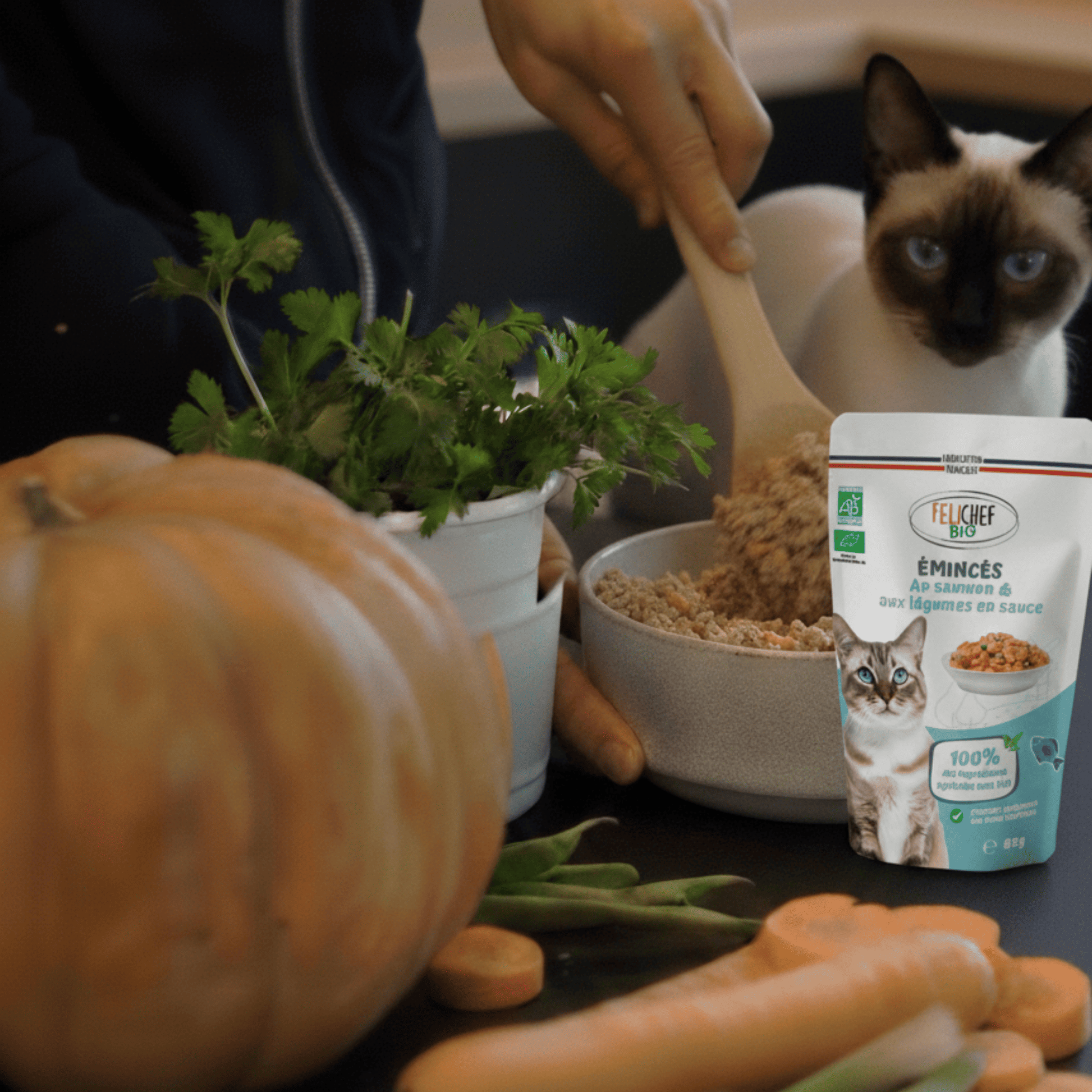 Chat siamois aux yeux bleus observant la préparation de sa gamelle d'émincés au saumon Félichef Bio, entouré de légumes frais, carottes et herbes aromatiques