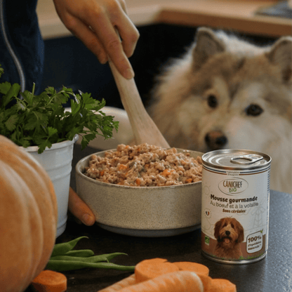 Maître préparant la gamelle de mousse chien volaille boeuf Canichef Bio avec une cuillère en bois, entouré de carottes et persil frais, sous le regard attentif d'un berger australien