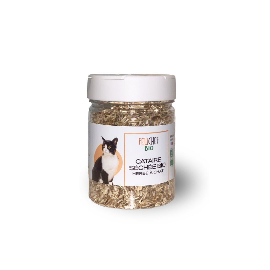 Herbe à Chat BIO Canichef & Félichef Aliments pour chiens et chats BIO