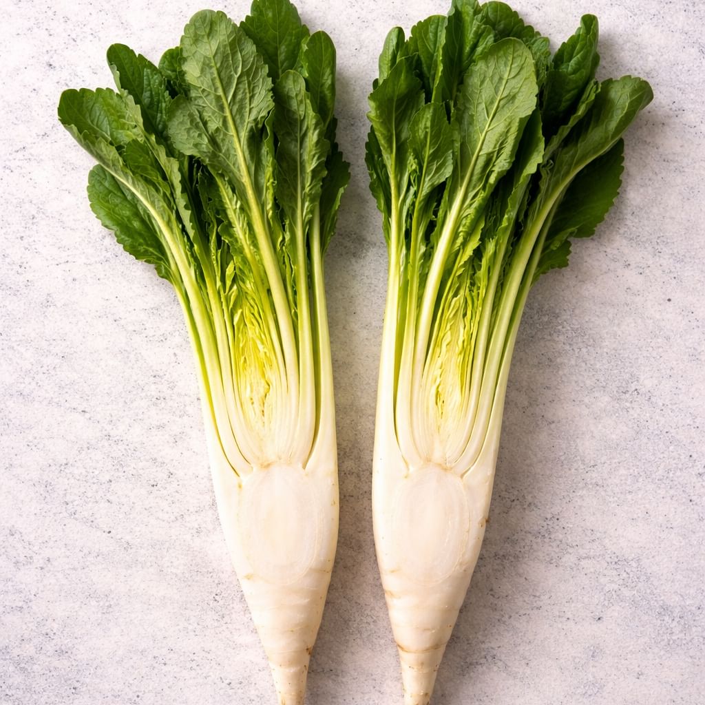 Racines de chicorée fraîches entières, posées côte à côte sur un plan de travail. Ce sont des légumes qui font partie des ingrédients des produits Canichef et Félichef.