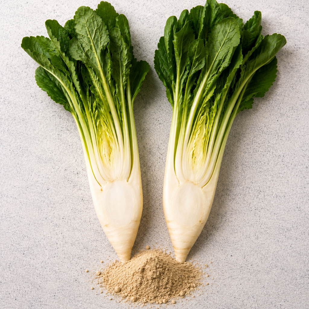 Racines de chicorée fraîches entières, posées côte à côte sur un plan de travail. Ce sont des légumes qui font partie des ingrédients des produits Canichef et Félichef.