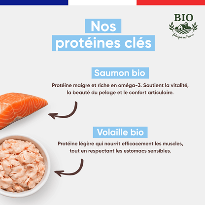 Ingrédients clés de la mousse pour chat au saumon bio : saumon bio riche en oméga-3 pour le pelage et les articulations, volaille bio légère pour les estomacs sensibles