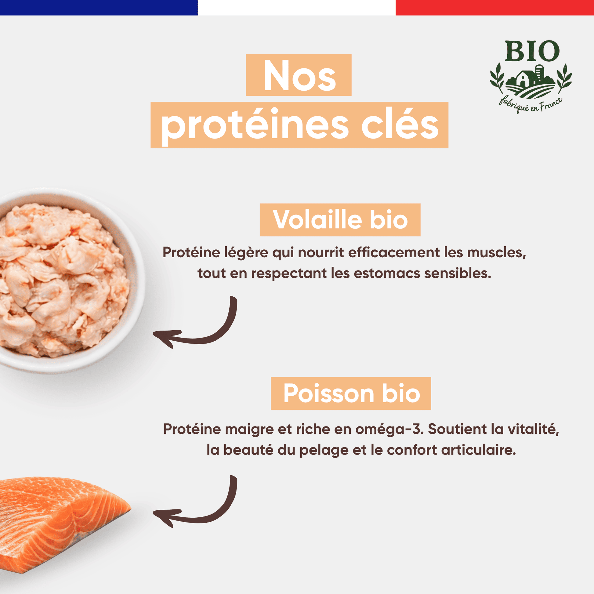 Ingrédients clés de la mousse pour chat à la volaille bio : volaille bio légère pour estomacs sensibles, poisson bio riche en oméga-3 pour le pelage et le confort articulaire
