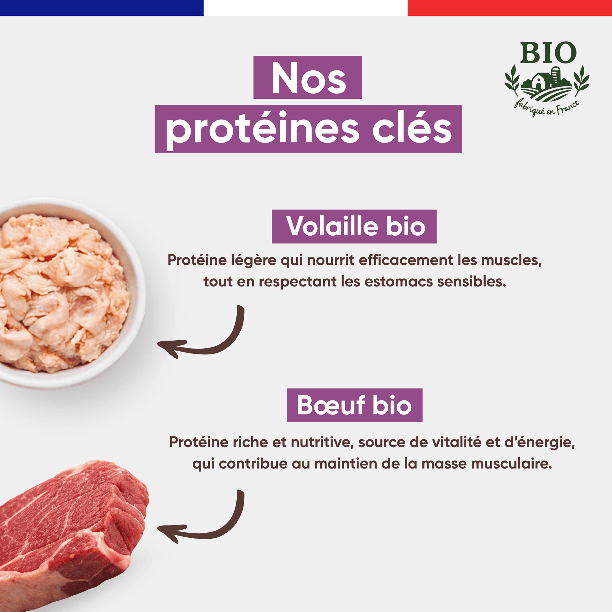 Ingrédients protéines clés de la mousse chien volaille boeuf Canichef Bio : volaille bio légère pour estomacs sensibles et boeuf bio riche en vitalité pour maintenir la masse musculaire