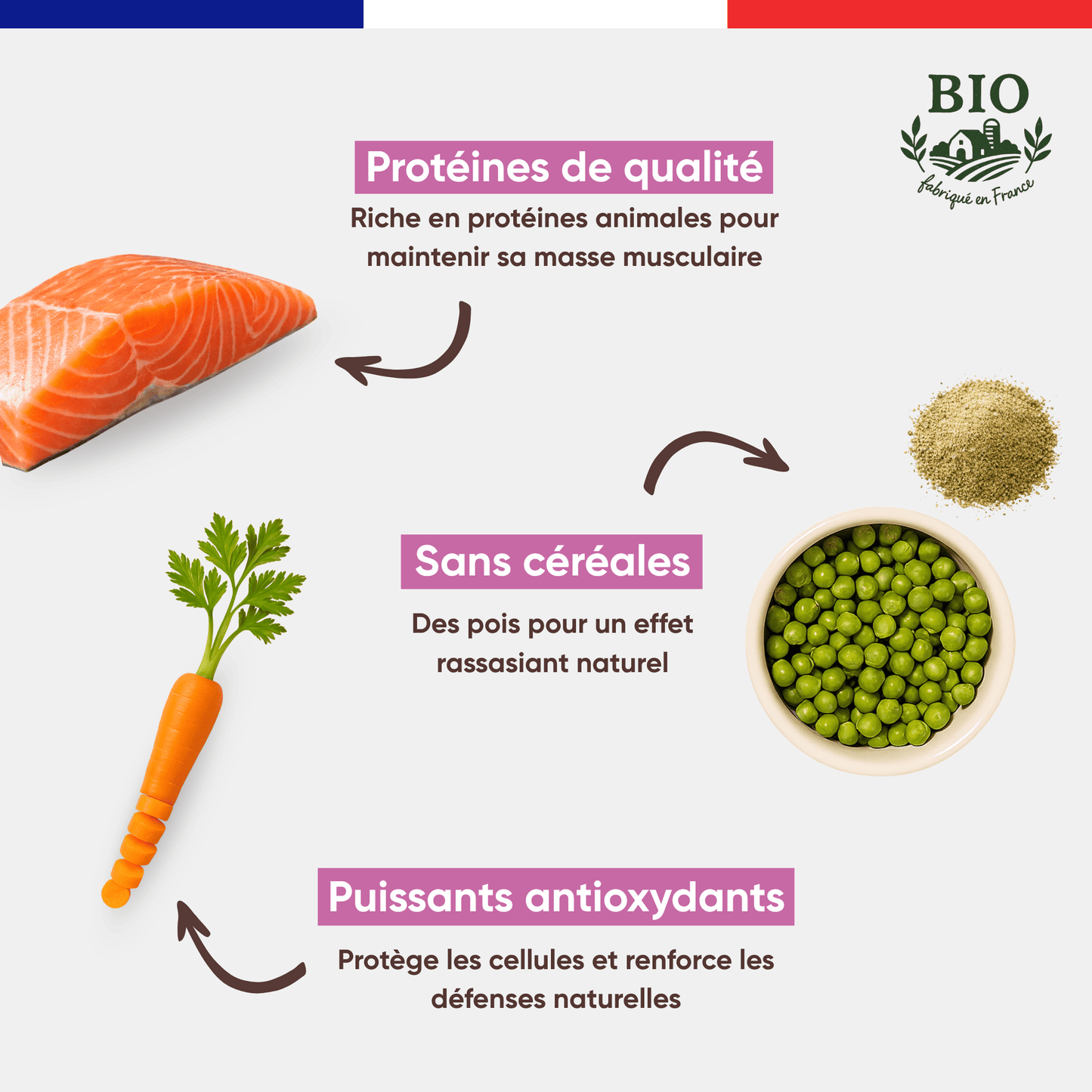 Ingrédients de la pâtée pour chat au saumon bio Félichef : protéines de qualité pour la masse musculaire, pois sans céréales pour l'effet rassasiant naturel, puissants antioxydants pour les défenses naturelles