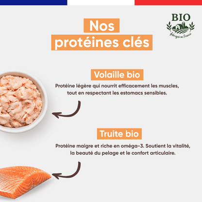 Ingrédients clés de la pâtée pour chat à la truite bio Félichef : volaille bio légère pour les estomacs sensibles, truite bio riche en oméga-3 pour le pelage et le confort articulaire