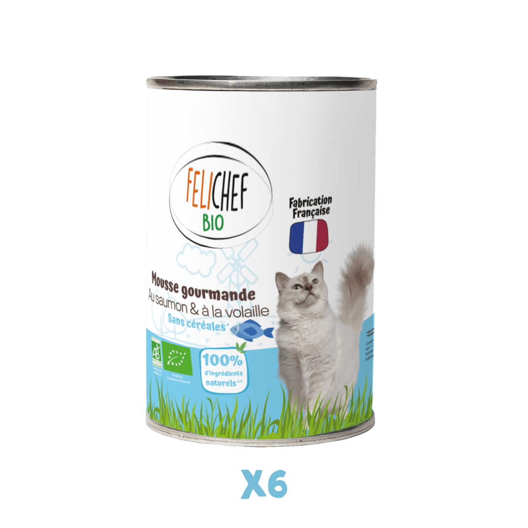 Une boîte de conserve de 400 grammes de mousse au saumon pour chat est au centre de l'image. Le fond est blanc. En dessous, du texte indique que l'on achète un pack de 6 pâtées.