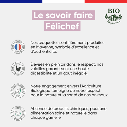 Infographie sur le savoir-faire Félichef Bio appliqué aux croquettes sans céréales pour chaton : fabrication en Mayenne, volaille fermière plein air, certification Agriculture Biologique et alimentation sans produits chimiques