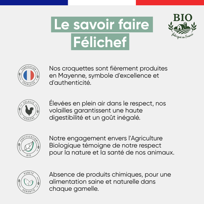 Infographie sur le savoir-faire Félichef Bio appliqué aux croquettes sans céréales pour chat senior : fabrication en Mayenne, volaille fermière plein air, certification Agriculture Biologique et alimentation sans produits chimiques