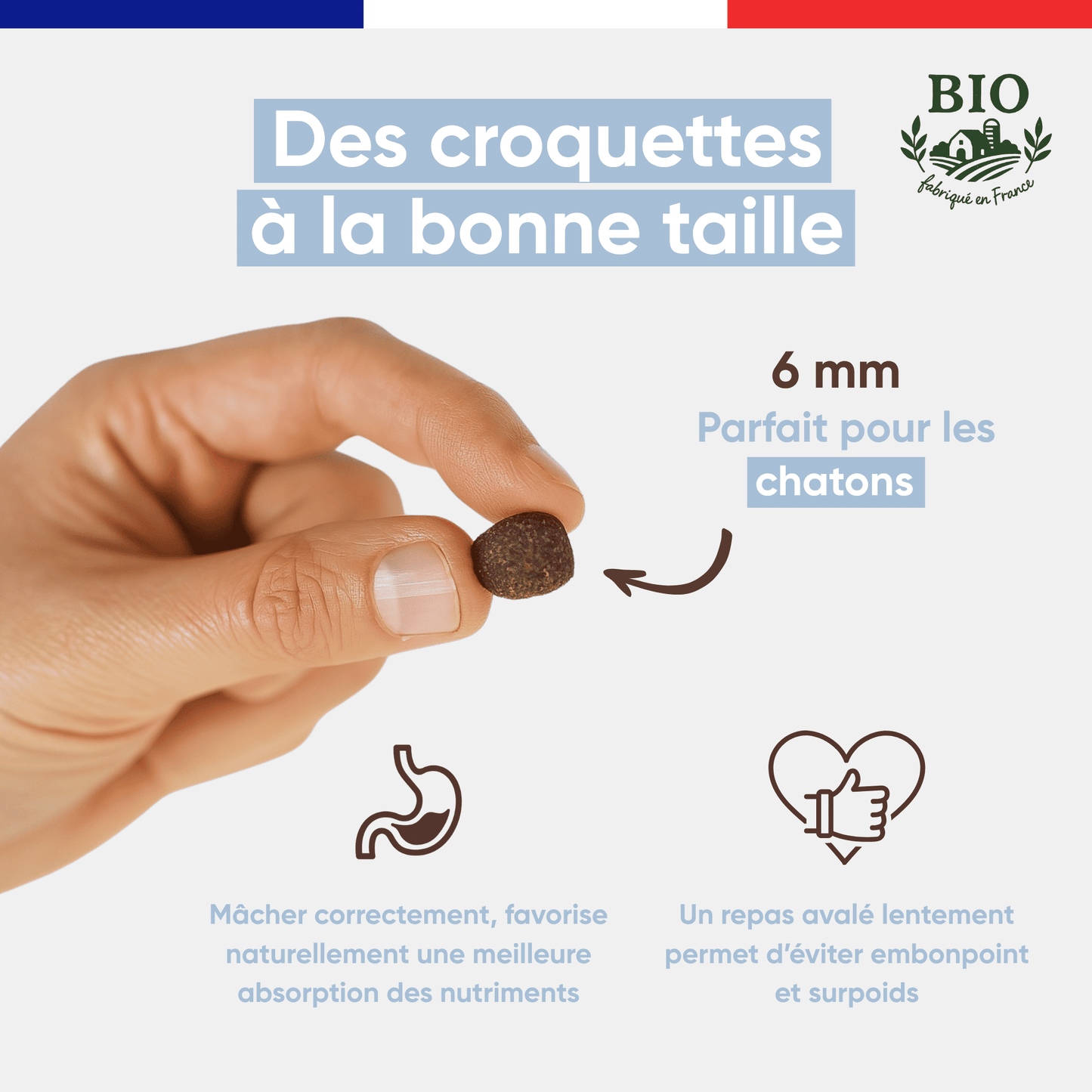 Main tenant une croquette Félichef Bio de 6 mm, taille spécialement adaptée aux chatons pour favoriser une bonne mastication et une meilleure absorption des nutriments