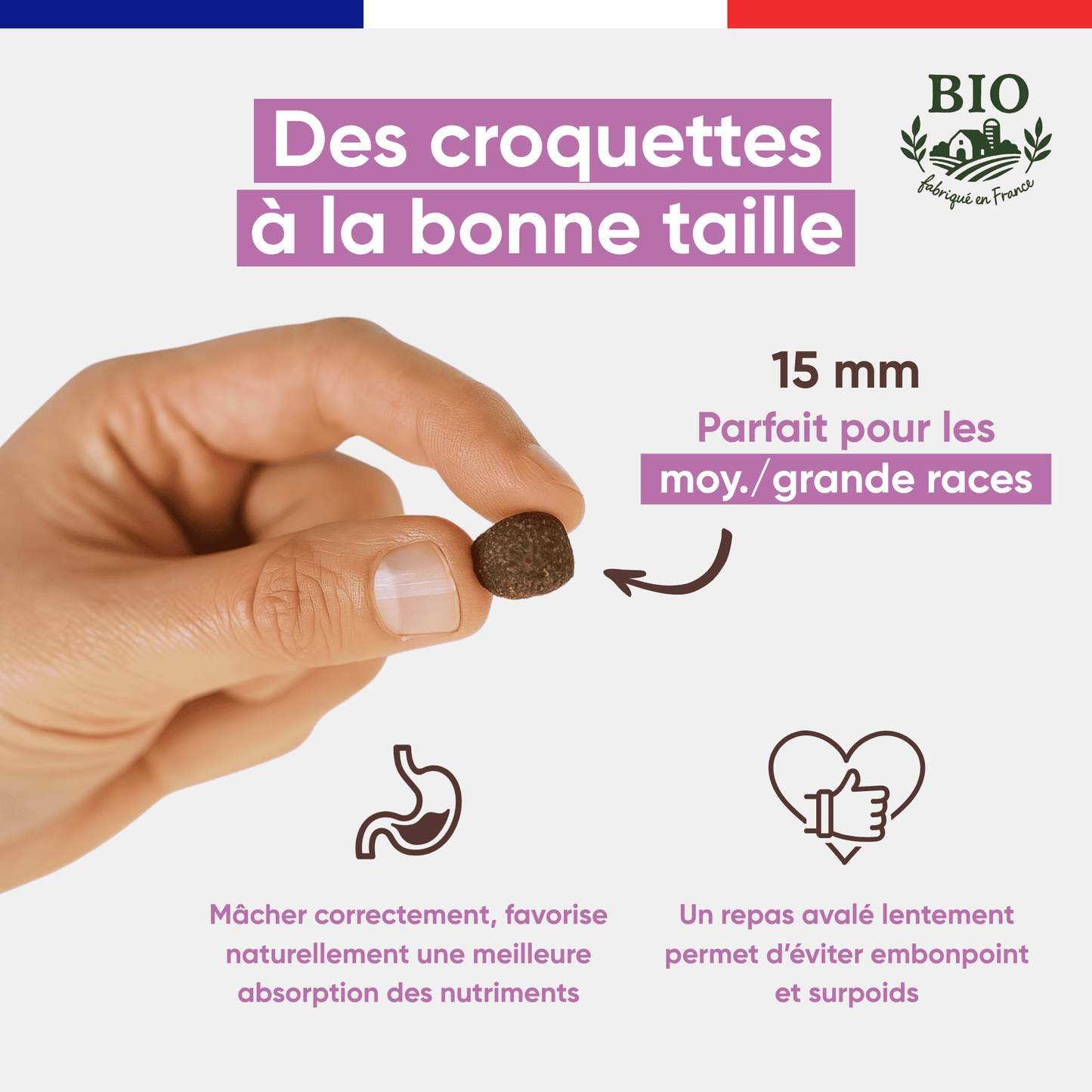 Main tenant une croquette Canichef Bio de 15 mm parfaite pour les chiens de moyenne et grande race, favorisant une mastication correcte et une meilleure absorption des nutriments pour éviter le surpoids