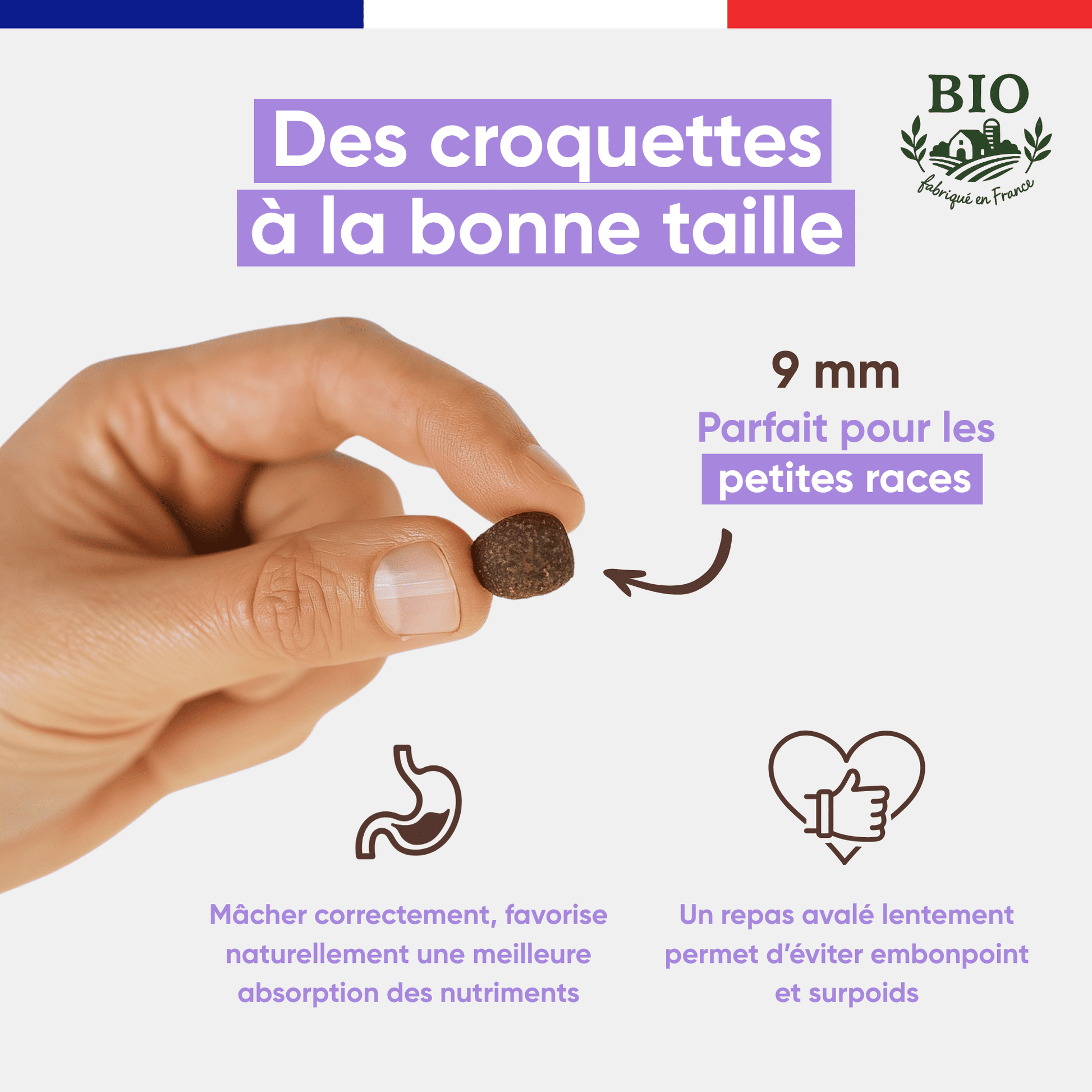 Main tenant une croquette Canichef Bio de 9 mm parfaite pour les chiens de petite race, favorisant une mastication correcte et une meilleure absorption des nutriments pour éviter le surpoids