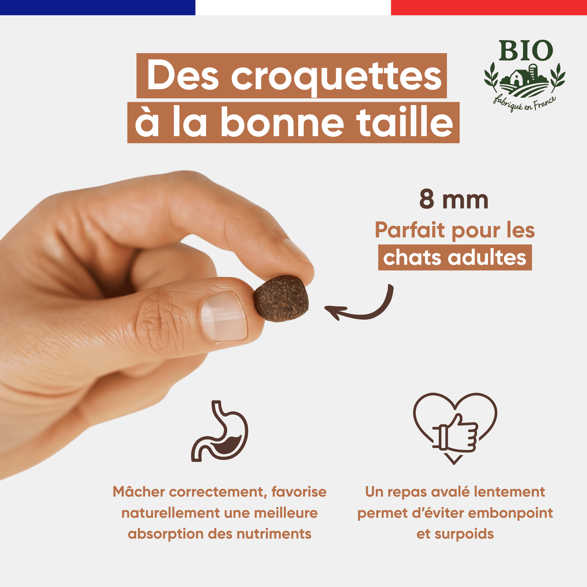Main tenant une croquette sans céréales Félichef Bio de 8 mm, taille adaptée aux chats adultes pour favoriser une bonne mastication et éviter le surpoids