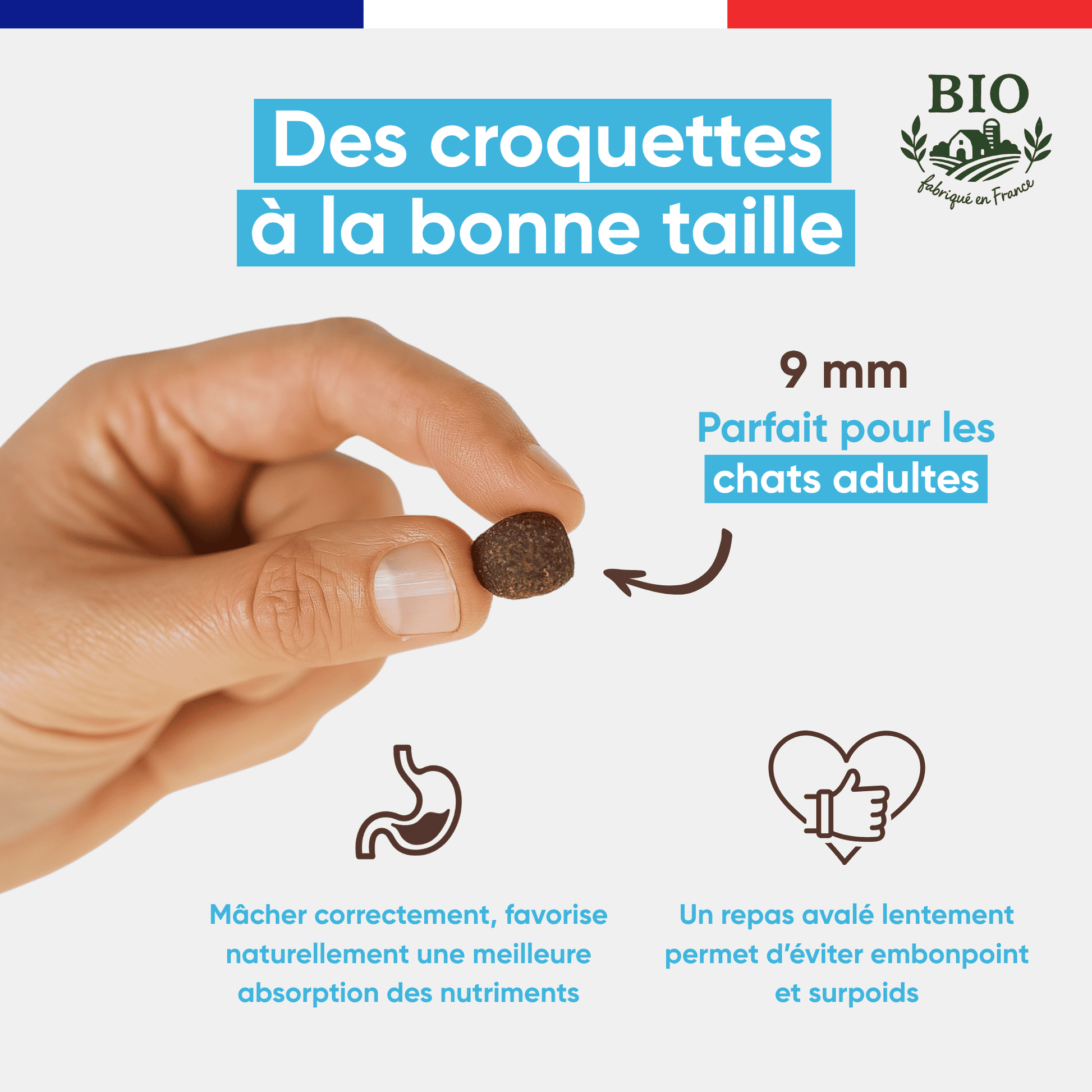 Main tenant une croquette sans céréales au poisson Félichef Bio de 9 mm, taille adaptée aux chats adultes pour favoriser une bonne mastication et éviter le surpoids