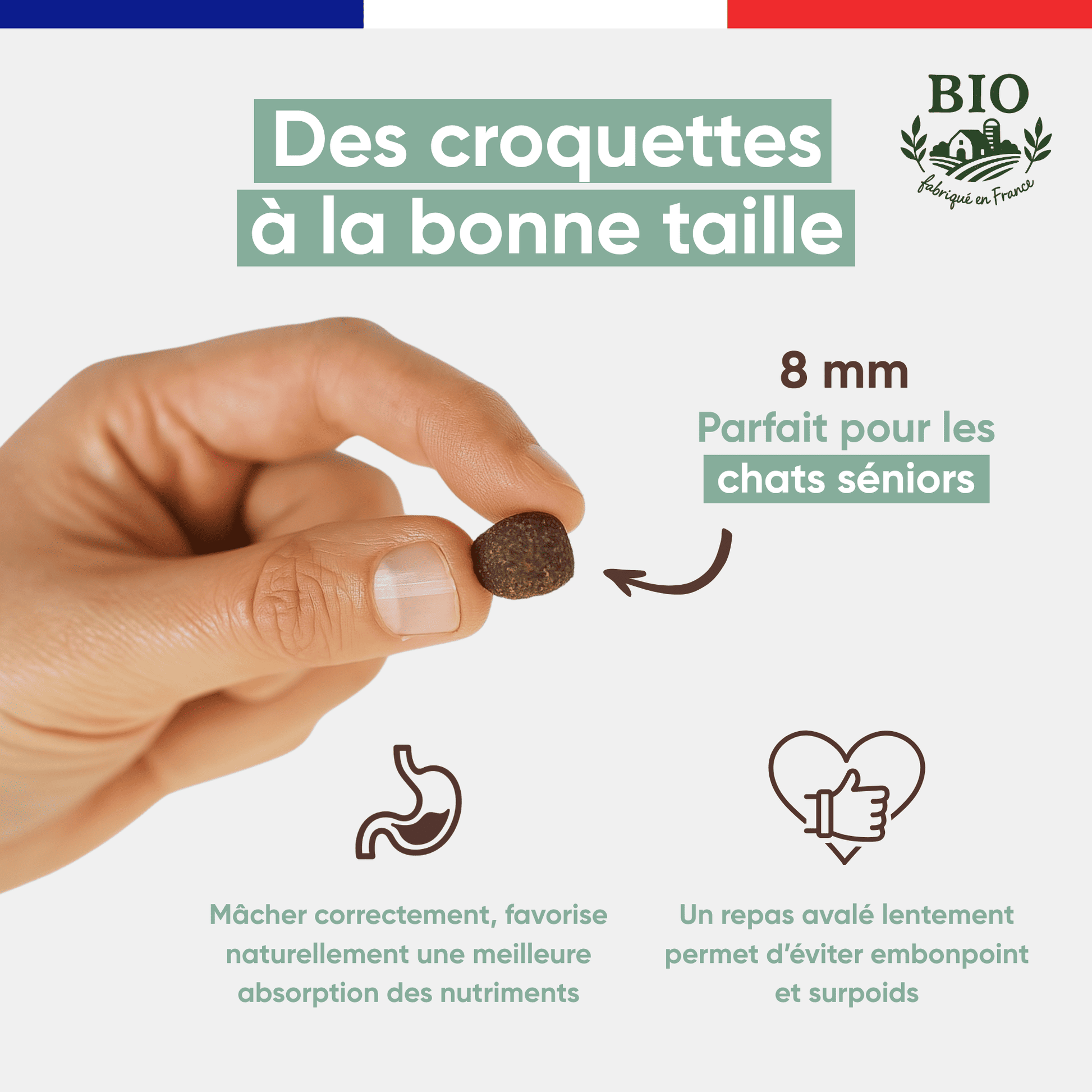 Main tenant une croquette sans céréales Félichef Bio de 8 mm, taille idéale pour les chats séniors, favorisant une mastication lente pour éviter le surpoids et mieux absorber les nutriments