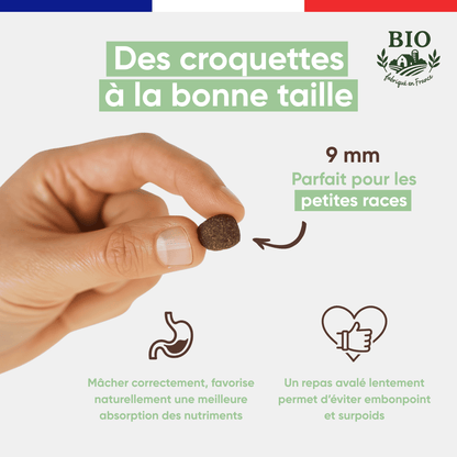 Main tenant une croquette sans céréales Canichef Bio de 9 mm parfaite pour les chiens de petite race, favorisant une mastication correcte et une meilleure absorption des nutriments pour éviter le surpoids