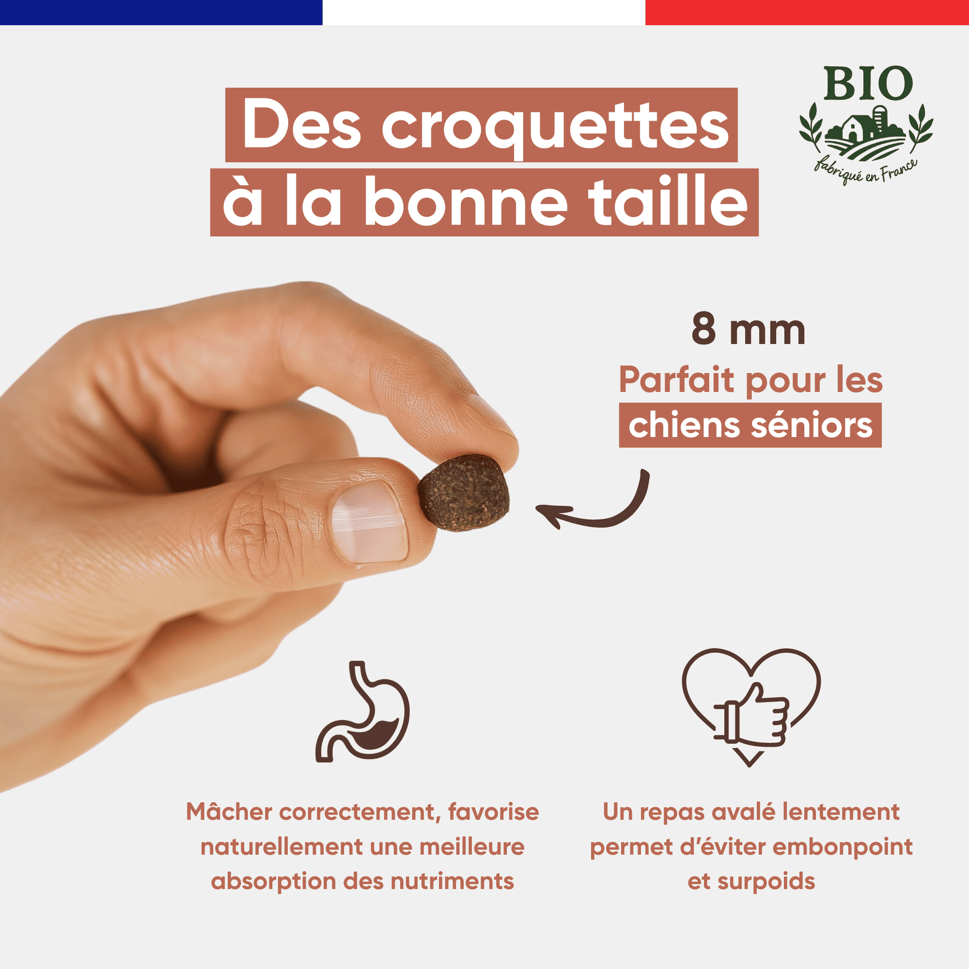 Main tenant une croquette sans céréales Canichef Bio de 8 mm parfaite pour les chiens seniors, favorisant une mastication correcte et une meilleure absorption des nutriments pour éviter le surpoids