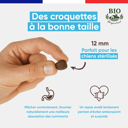 Main tenant une croquette sans céréales Canichef Bio de 12 mm parfaite pour les chiens stérilisés, favorisant une mastication correcte et une meilleure absorption des nutriments pour éviter le surpoids