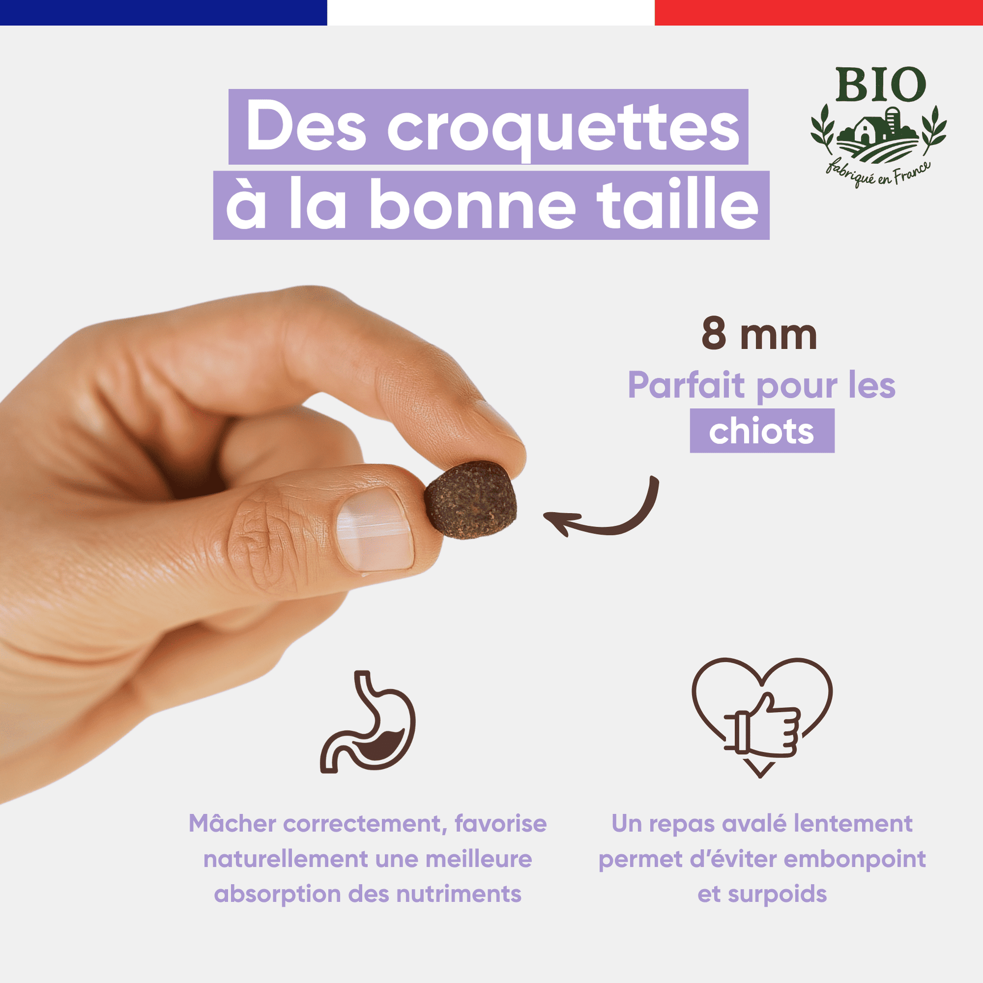 Main tenant une croquette sans céréales Canichef Bio de 8 mm parfaite pour les chiots, favorisant une mastication correcte et une meilleure absorption des nutriments pour éviter le surpoids dès le plus jeune âge