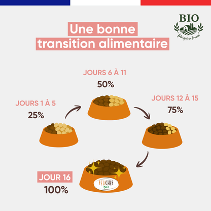 Infographie Félichef Bio expliquant comment réussir la transition alimentaire des croquettes pour chat adulte en 16 jours, de 25% à 100% sur quatre étapes progressives
