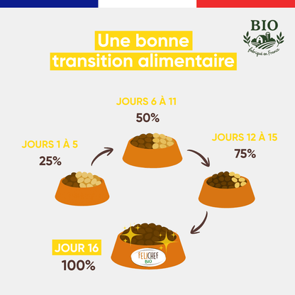 Infographie Félichef Bio expliquant la transition alimentaire progressive vers les croquettes pour chat stérilisé en 16 jours, de 25% à 100% en quatre étapes illustrées