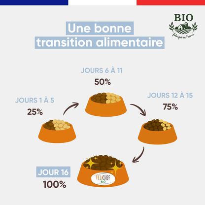 Infographie Félichef Bio illustrant la transition alimentaire progressive vers les croquettes pour chaton en 16 jours, de 25% à 100% en quatre étapes