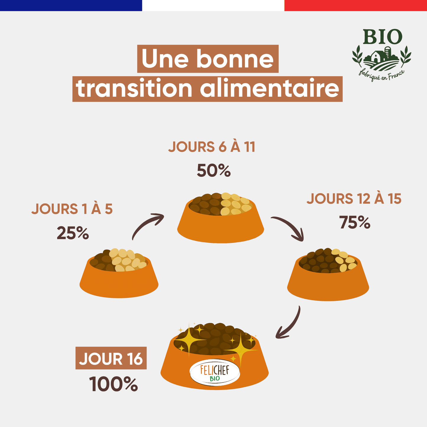 Infographie Félichef Bio illustrant comment effectuer la transition alimentaire vers les croquettes sans céréales pour chat adulte en 16 jours, de 25% à 100% en quatre étapes