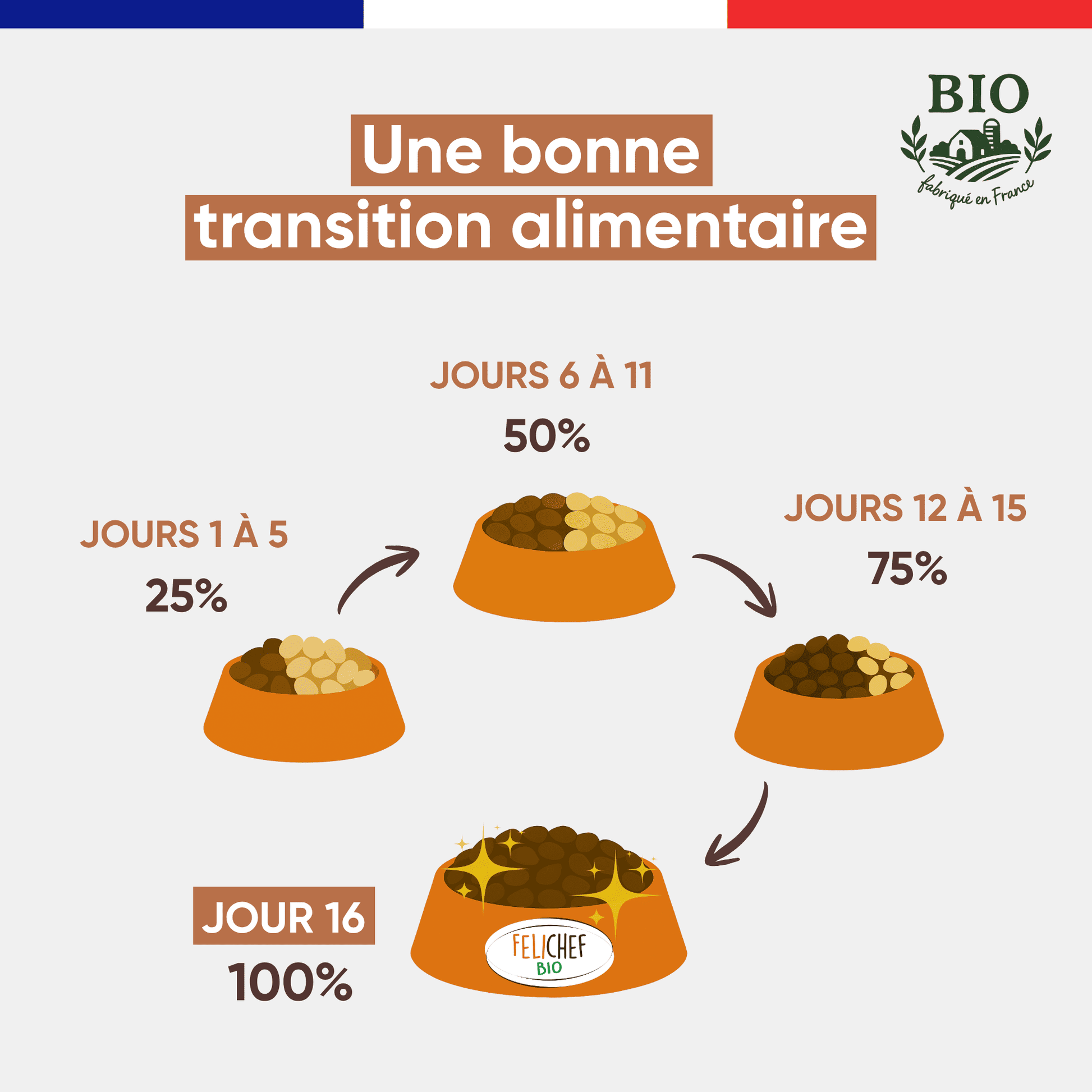 Infographie Félichef Bio illustrant comment effectuer la transition alimentaire vers les croquettes sans céréales pour chat adulte en 16 jours, de 25% à 100% en quatre étapes