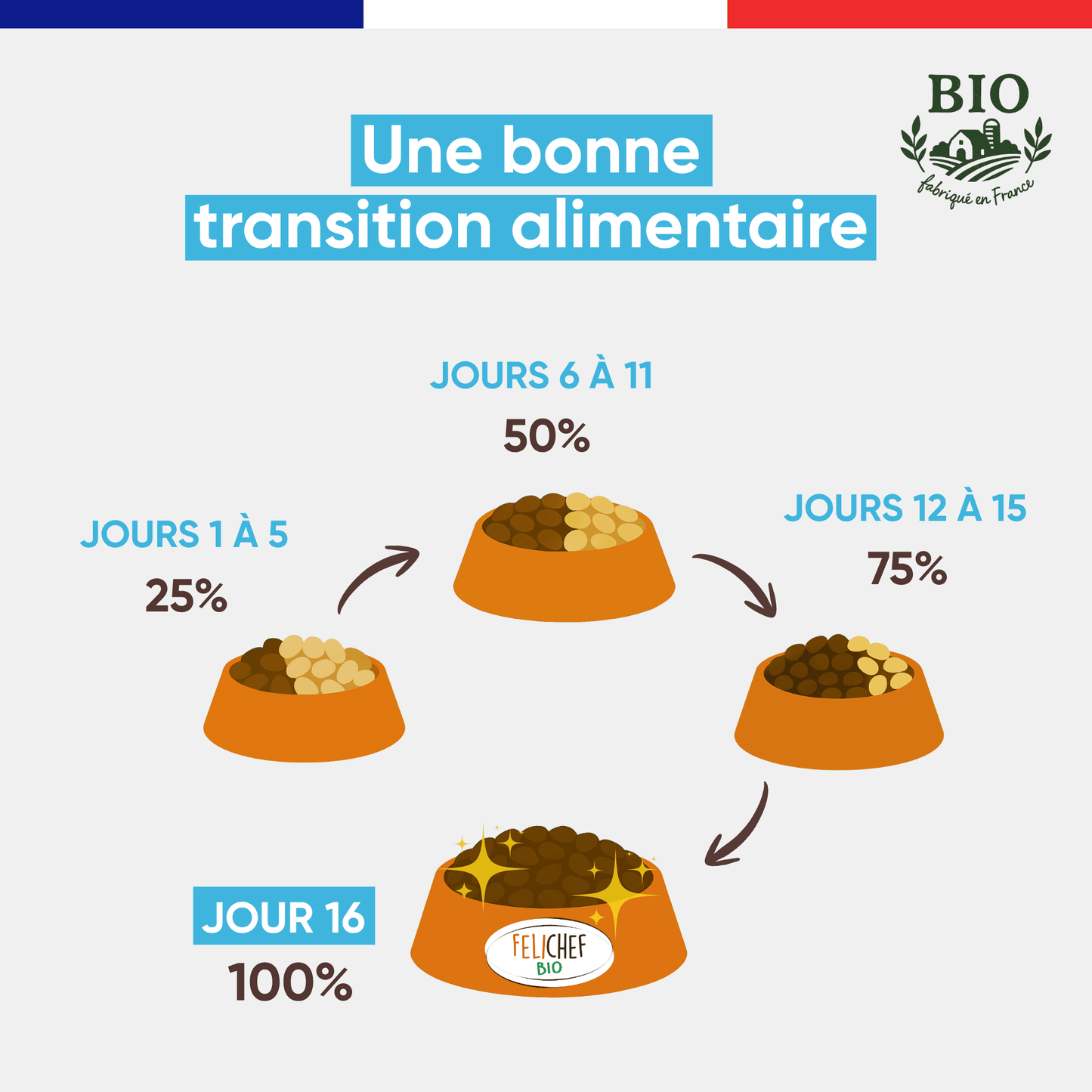 Infographie Félichef Bio illustrant la transition alimentaire progressive vers les croquettes sans céréales au poisson pour chat en 16 jours, de 25% à 100% en quatre étapes