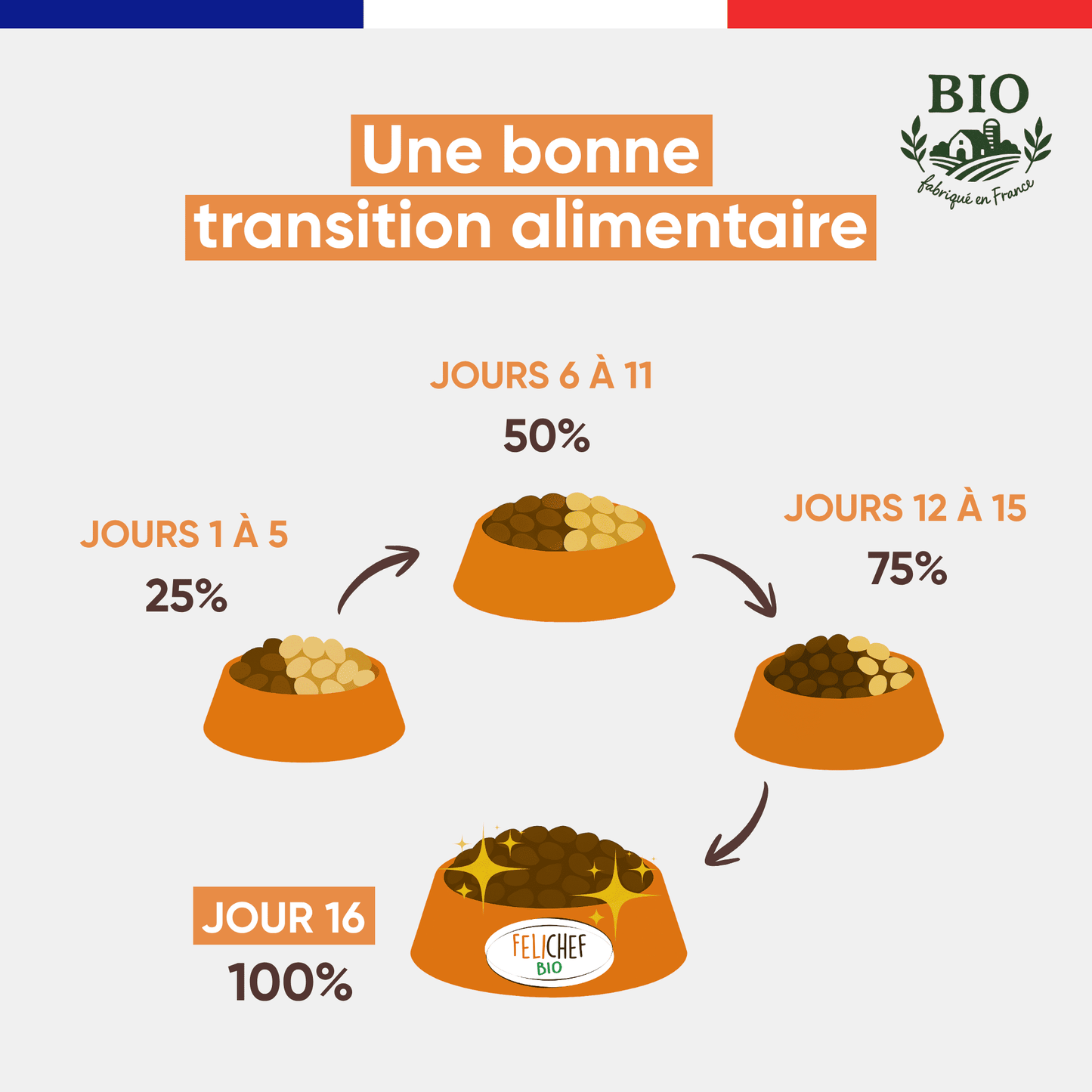 Infographie Félichef Bio illustrant la transition alimentaire progressive vers les croquettes sans céréales pour chat stérilisé en 16 jours, de 25% à 100% en quatre étapes