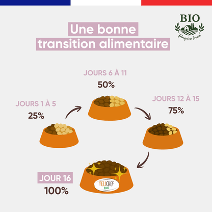 Infographie Félichef Bio illustrant la transition alimentaire progressive vers les croquettes sans céréales pour chaton en 16 jours, de 25% à 100% en quatre étapes
